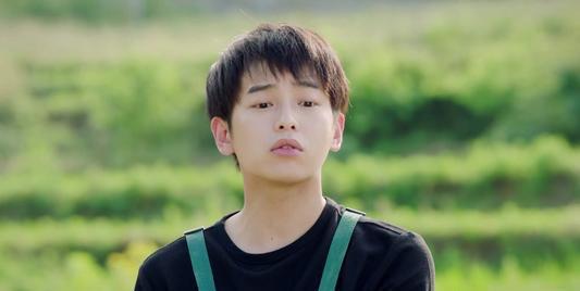 爱豆吃瓜娱乐酱张晚意,爱豆吃瓜娱乐酱，揭秘娱乐圈幕后故事