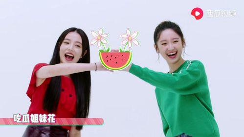 一周娱乐吃瓜,瓜田李下，明星秘闻大揭秘