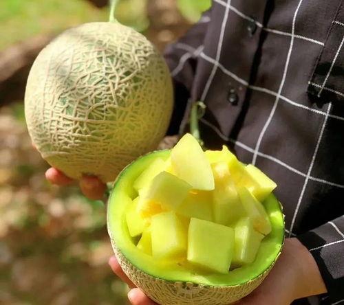 娱乐吃瓜壁纸高清,捕捉娱乐圈瞬间精彩