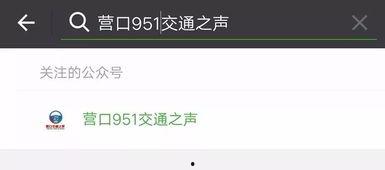 娱乐吃瓜直播怎样加入群聊,共享热门话题盛宴