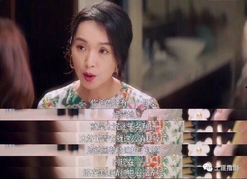 娱乐圈吃瓜贴吧,幕后真相与明星隐私曝光