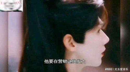 娱乐吃瓜酱最心酸,揭秘娱乐圈最心酸幕后故事
